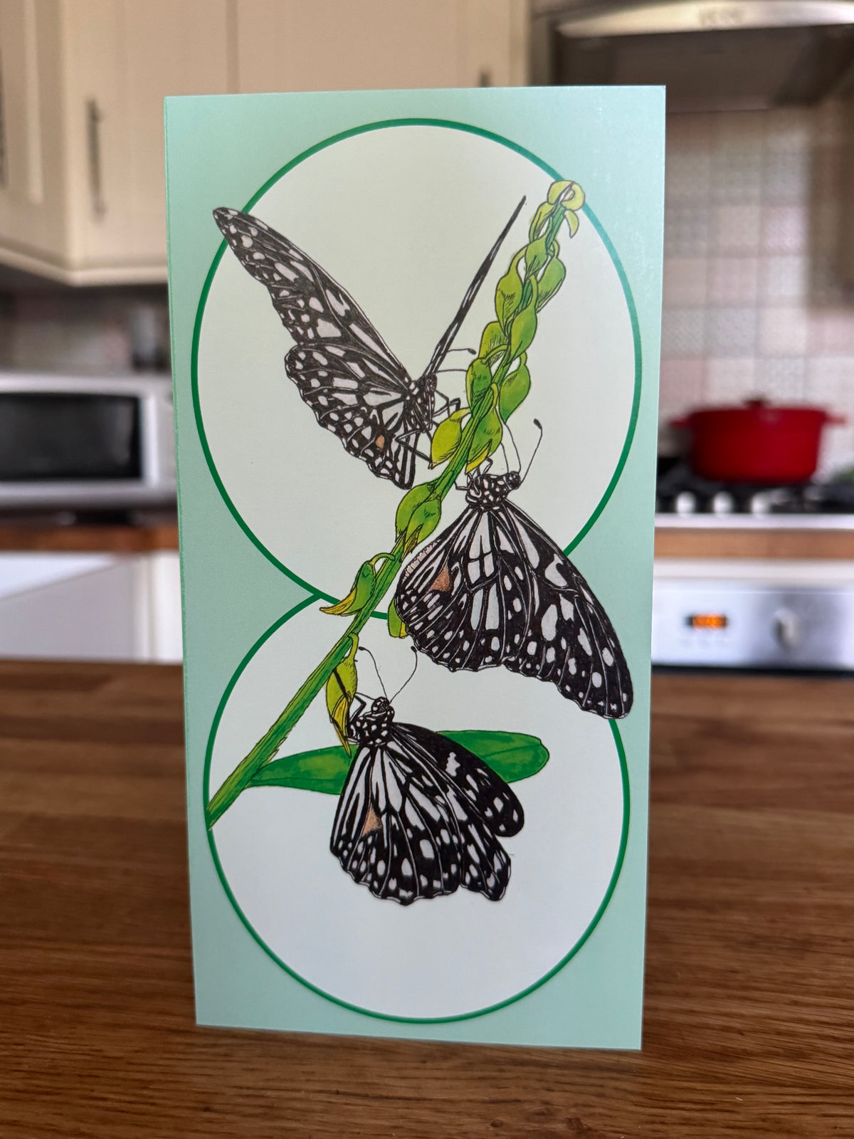 Blank art greeting cards for nature lovers