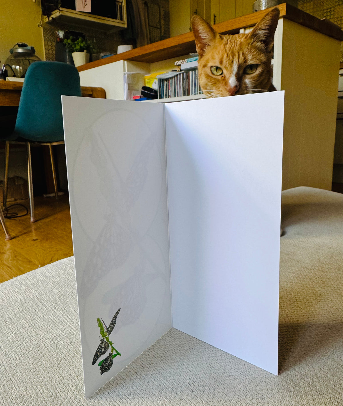 Blank art greeting cards for nature lovers