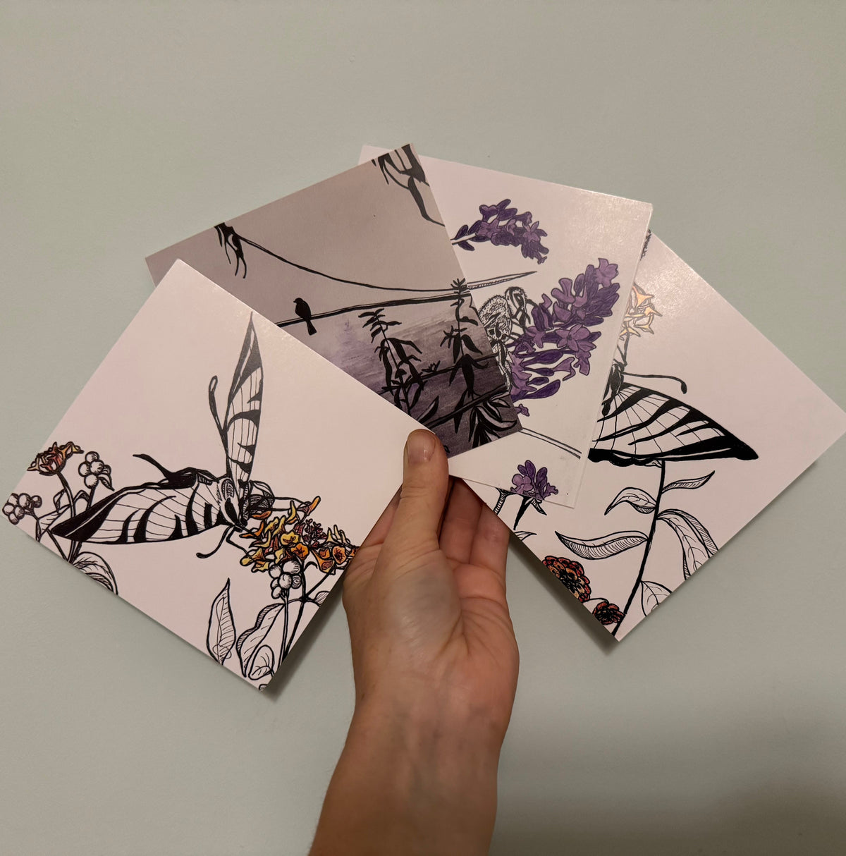 A hand holds four square art cards featuring black and purple botanical and insect illustrations on a light pink background, set against a plain light gray wall.